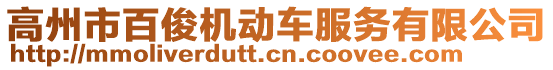 高州市百俊機動車服務有限公司