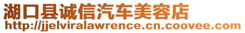 湖口縣誠信汽車美容店