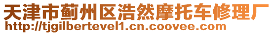 天津市薊州區(qū)浩然摩托車修理廠