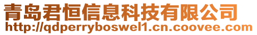 青島君恒信息科技有限公司