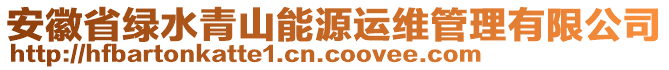 安徽省綠水青山能源運維管理有限公司
