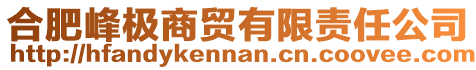合肥峰極商貿有限責任公司