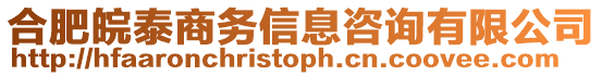 合肥皖泰商務信息咨詢有限公司