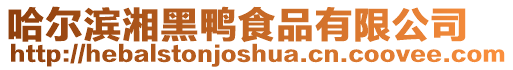 哈爾濱湘黑鴨食品有限公司