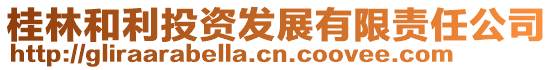 桂林和利投資發展有限責任公司
