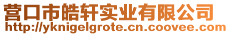 營口市皓軒實業有限公司