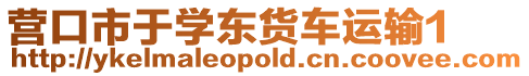 營口市于學東貨車運輸1