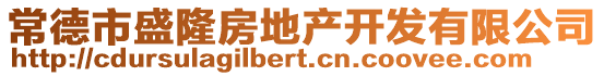 常德市盛隆房地產(chǎn)開發(fā)有限公司