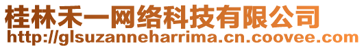 桂林禾一網絡科技有限公司