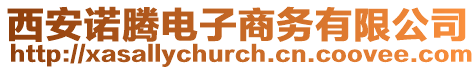 西安諾騰電子商務有限公司