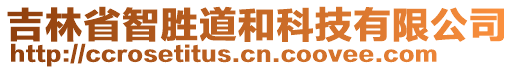 吉林省智勝道和科技有限公司