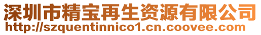 深圳市精寶再生資源有限公司