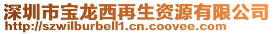 深圳市寶龍西再生資源有限公司