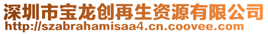 深圳市寶龍創(chuàng)再生資源有限公司