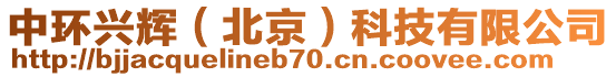 中環興輝(北京)科技有限公司
