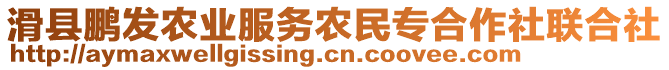 滑縣鵬發(fā)農(nóng)業(yè)服務(wù)農(nóng)民專合作社聯(lián)合社