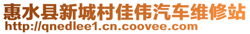 惠水縣新城村佳偉汽車維修站