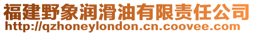 福建野象潤(rùn)滑油有限責(zé)任公司