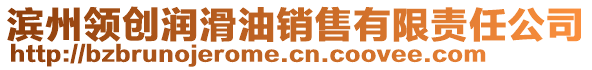 濱州領(lǐng)創(chuàng)潤(rùn)滑油銷售有限責(zé)任公司