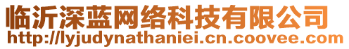 臨沂深藍(lán)網(wǎng)絡(luò)科技有限公司