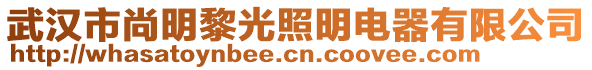 武漢市尚明黎光照明電器有限公司