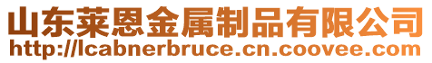 山東萊恩金屬制品有限公司