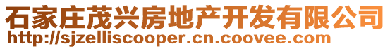 石家莊茂興房地產(chǎn)開(kāi)發(fā)有限公司