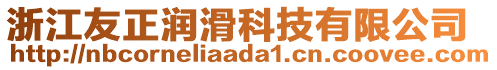 浙江友正潤(rùn)滑科技有限公司