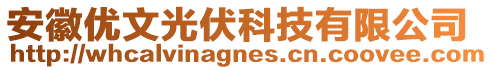 安徽優(yōu)文光伏科技有限公司