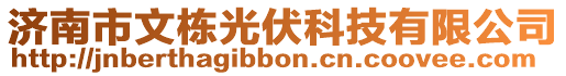 濟(jì)南市文棟光伏科技有限公司