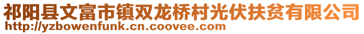 祁陽縣文富市鎮(zhèn)雙龍橋村光伏扶貧有限公司