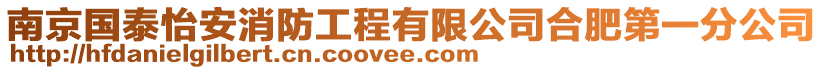 南京國泰怡安消防工程有限公司合肥第一分公司