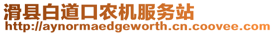 滑縣白道口農(nóng)機(jī)服務(wù)站