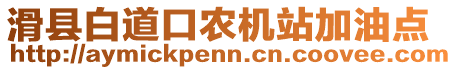 滑縣白道口農(nóng)機(jī)站加油點(diǎn)