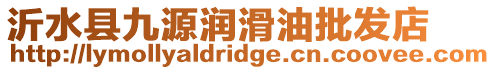 沂水縣九源潤滑油批發店