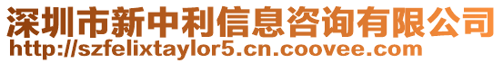 深圳市新中利信息咨詢有限公司