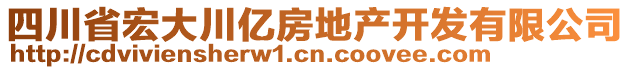 四川省宏大川億房地產(chǎn)開發(fā)有限公司