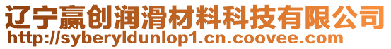 遼寧贏創(chuàng)潤(rùn)滑材料科技有限公司