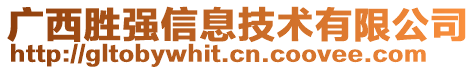 廣西勝強(qiáng)信息技術(shù)有限公司