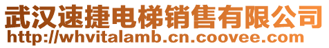 武漢速捷電梯銷售有限公司