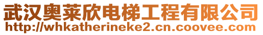 武漢奧萊欣電梯工程有限公司