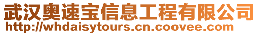 武漢奧速寶信息工程有限公司
