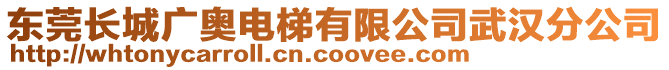 東莞長城廣奧電梯有限公司武漢分公司