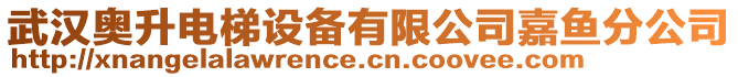 武漢奧升電梯設(shè)備有限公司嘉魚(yú)分公司