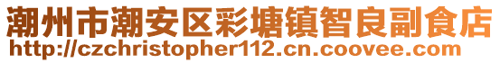 潮州市潮安區(qū)彩塘鎮(zhèn)智良副食店