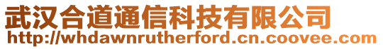 武漢合道通信科技有限公司