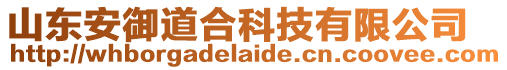 山東安御道合科技有限公司