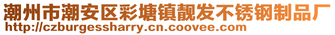 潮州市潮安區(qū)彩塘鎮(zhèn)靚發(fā)不銹鋼制品廠