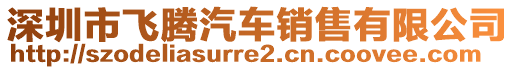 深圳市飛騰汽車銷售有限公司