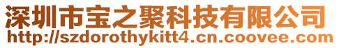 深圳市寶之聚科技有限公司